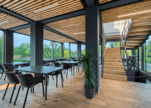 Kvíz Veselí nad Moravou - Dog in Dock